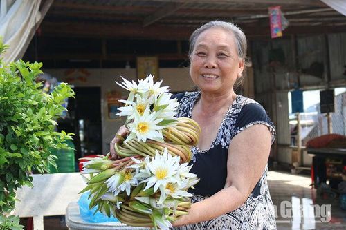 Hoa tháng mười