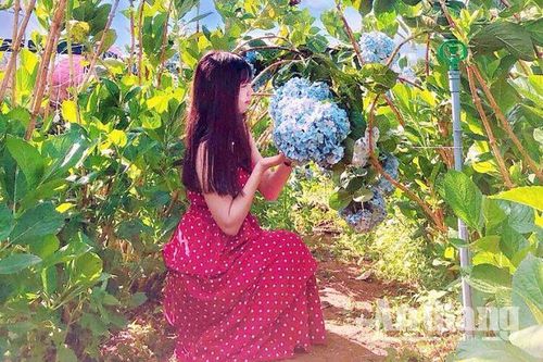 Muôn sắc hoa trong ngày của phụ nữ