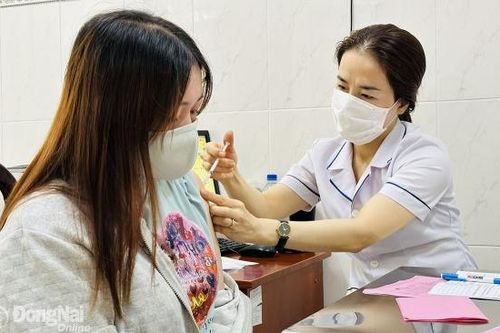 Những loại vaccine phụ nữ có thai nên tiêm