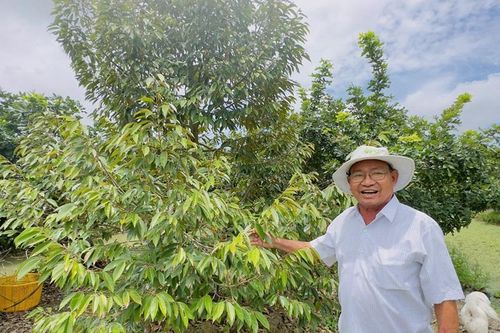 Ông Trần Văn Lớn - nông dân sản xuất giỏi, mê làm từ thiện