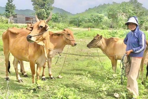 Krông Pa tập trung nguồn lực cho công tác giảm nghèo