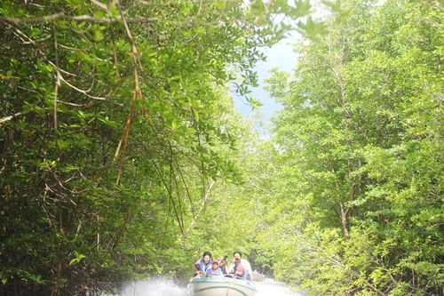 Xây dựng Khu du lịch quốc gia Mũi Cà Mau hài hòa và khác biệt