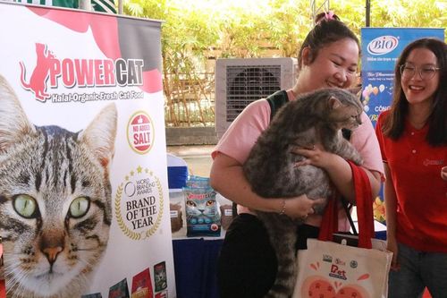 Khi thành viên đặc biệt của gia đình đi dự ngày hội thú cưng