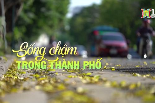 Sống chậm trong thành phố | Cuộc sống thành thị | 20/10/2024