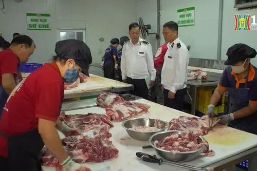 Hà Nội đẩy mạnh quản lý giết mổ gia súc gia cầm | Quản lý chất lượng nông lâm thủy sản | 20/10/2024