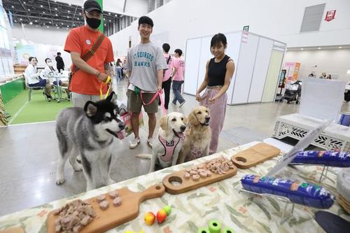 Nhiều người Hàn Quốc sẵn sàng chi gần 40 triệu đồng học nấu ăn cho thú cưng