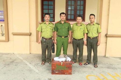 Tạm giữ 2 đối tượng mua bán, vận chuyển động vật quý hiếm