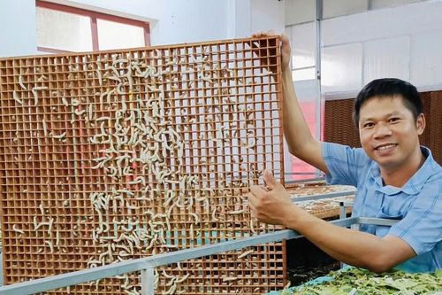 Hà Tĩnh: Hồi phục nghề truyền thống, nông dân thêm cơ hội làm giàu