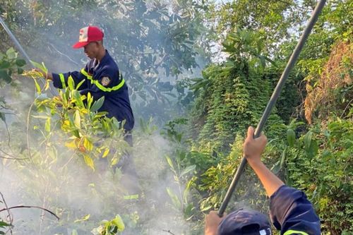 Hải Phòng: Huy động gần 300 người dập tắt đám cháy trên núi Sơn Đào
