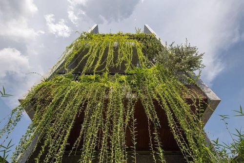 Ngỡ ngàng nhà ống với 3 'khoảng thở' đắt giá tại Quảng Ninh