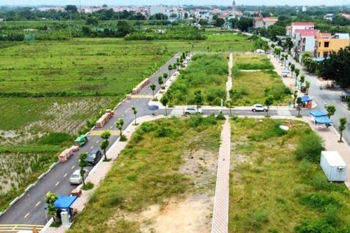 Tái diễn tình trạng 'bỏ cọc' sau khi trúng đấu giá đất tác động tiêu cực đến giá và thị trường nhà ở