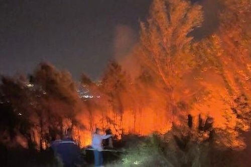 Hải Phòng: Hàng trăm người tham gia chữa cháy trên núi Sơn Đào