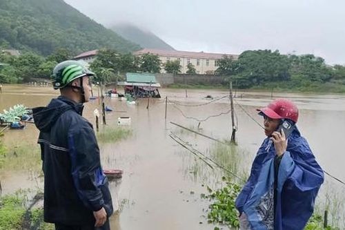 Sét đánh chết 4 con trâu trên đồng