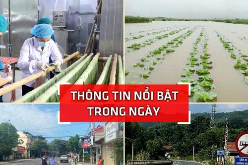 Nghệ An: Thông tin nổi bật ngày 21/10