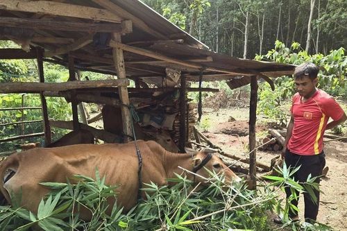 'Chìa khóa' cho sự phát triển vùng đồng bào dân tộc thiểu số ở Kon Tum
