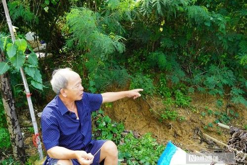 Quảng Bình: Người dân bất an vì sạt lở bờ sông vào gần sát nhà
