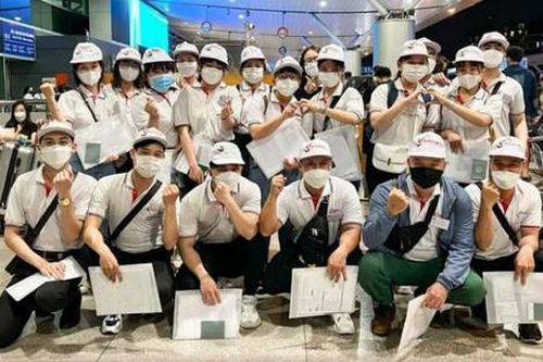 Đại diện Trung Tâm Nhân Lực: 'Lao động Việt lao đao tìm trung tâm tư vấn uy tín'