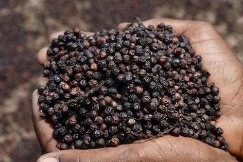 Xuất khẩu hồ tiêu chính thức vượt mốc 1 tỷ USD