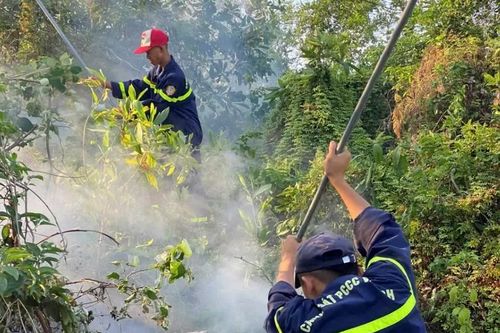 Hải Phòng: Chính quyền không chủ quan, giám sát chặt khi liên tiếp xảy ra cháy rừng
