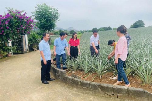 Mô hình '5 có, 3 sạch' ở Cao Thịnh