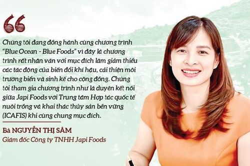 Rong biển - 'mỏ vàng' của kinh tế tuần hoàn