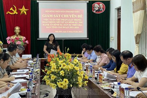 HĐND tỉnh giám sát chuyên đề tại Tòa án Nhân dân và Cục Thi hành án dân sự tỉnh