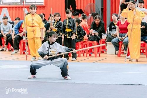 Biên Hòa dẫn đầu toàn đoàn Giải vô địch trẻ Wushu Taolu các câu lạc bộ tỉnh Đồng Nai năm 2024