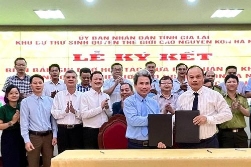 Hợp tác giáo dục, nghiên cứu khoa học và chuyển giao công nghệ