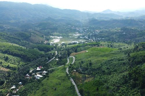 Phá thế độc đạo cho thủ phủ sầu riêng
