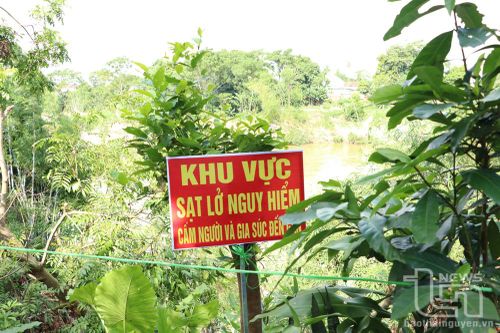 Xây dựng khẩn cấp kè khắc phục sạt lở bờ sông Cầu ở Phú Bình