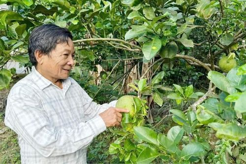 Vì dân nên dân đồng thuận