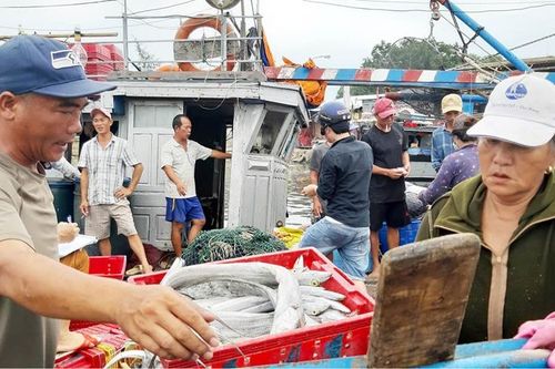 Hướng phong trào đến xây dựng mô hình sản xuất mới