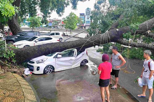 Chi phí tăng cao, Bảo hiểm MIC (MIG) có thể 'vỡ' kế hoạch lợi nhuận năm nay