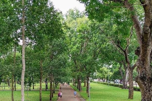 Tp.HCM: Ưu tiên xây dựng 6 dự án công viên quy mô lớn