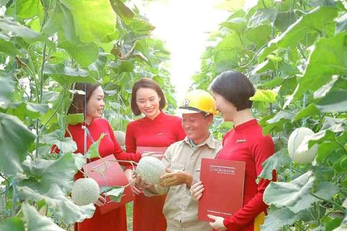 Bài 1: Tự hào góp phần vào sự phát triển của Thủ đô