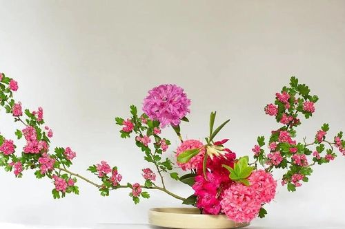 Giới thiệu nghệ thuật cắm hoa Nhật Bản