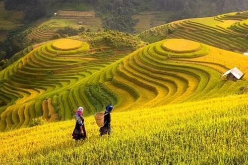 Nông nghiệp sinh thái cần phù hợp với từng vùng miền