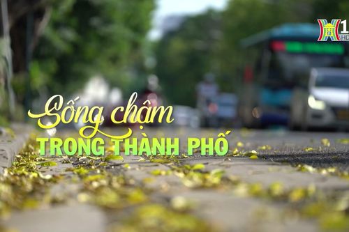 Sống chậm trong thành phố