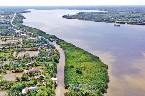 Quyết tâm vượt khó, hoàn thành chỉ tiêu năm 2024