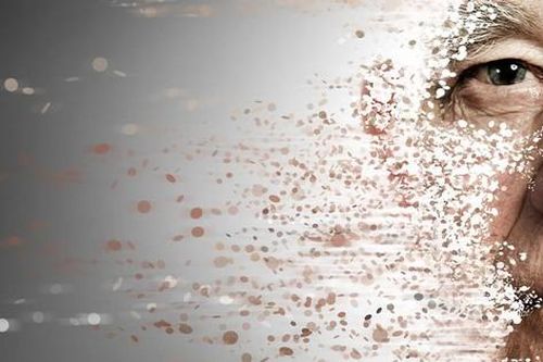 Thiết lập thời gian biểu lành mạnh giúp chống lão hóa