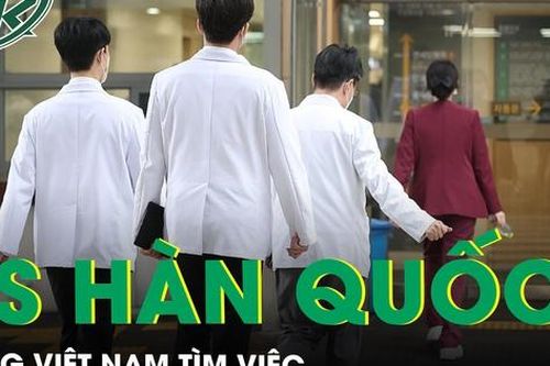 Nhiều bác sĩ Hàn Quốc sang Việt Nam tìm cơ hội việc làm