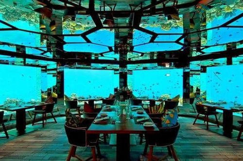 Khám phá bên trong khách sạn 5 sao dưới đáy biển xa xỉ nhất thế giới