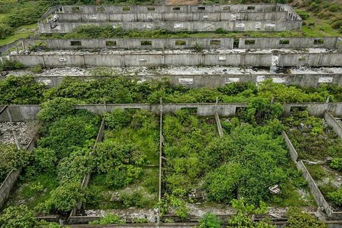 Hà Tĩnh: Trung tâm sản xuất giống chăn nuôi 20 tỷ đồng bỏ hoang gần thập kỷ