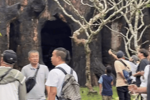 Khách Trung Quốc trả giá sau màn bắn súng cao su tại sở thú Thái Lan