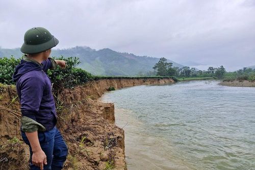 Hà Tĩnh: nhiều diện tích chè bị sạt lở, cuốn trôi xuống sông Ngàn Phố