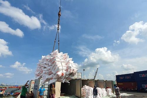 Giá gạo xuất khẩu có xu hướng giảm do nguồn cung tăng