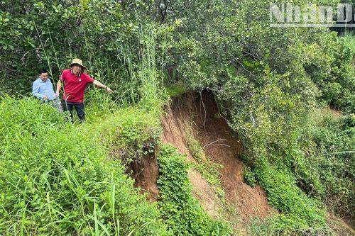 Di chỉ khảo cổ học Thác Hai trước nguy cơ bị 'xóa sổ'