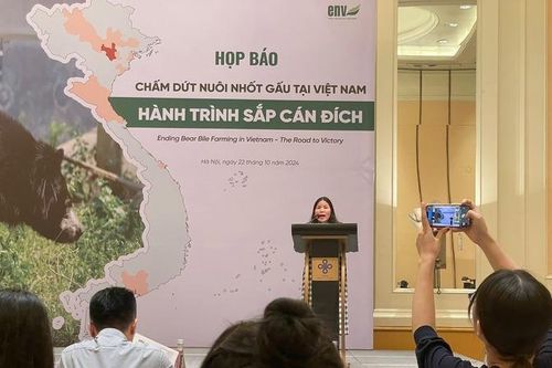 Hành trình chấm dứt nuôi nhốt gấu tại Việt Nam