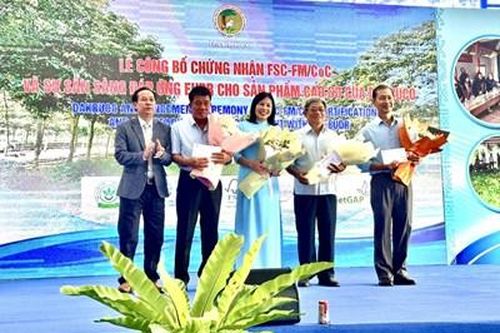 Dakruco chính thức công bố đạt chứng nhận FSC cho hơn 1.100ha cao su