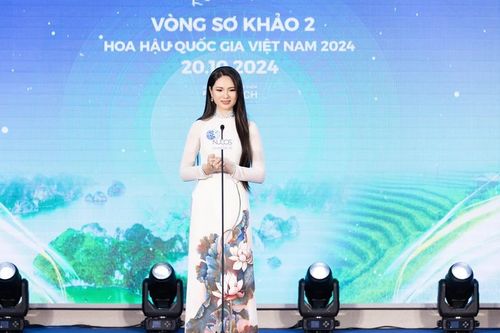 Lộ diện loạt thí sinh có profile 'khủng' vào Chung kết Hoa hậu Quốc gia Việt Nam 2024